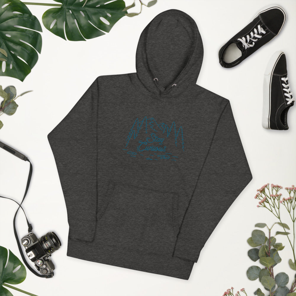 Stay Curious Mountain Unisex Hoodie (Navy Print)